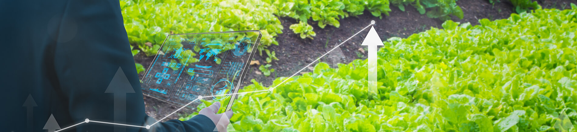 agri-banner